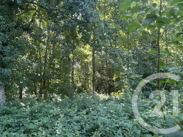 Terrain à vendre  7655 m2 BRIONNE - 27