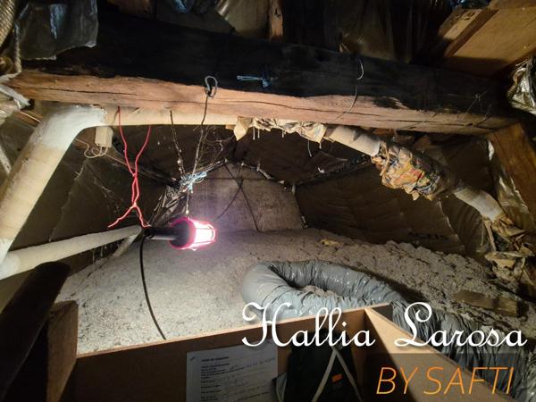 Maison de ville Type 3 avec Cour