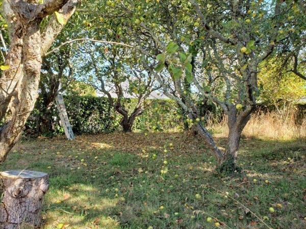 Maison à vendre à Riantec dans le Morbihan (56670), ref : 1892