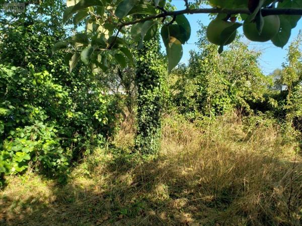 Maison à vendre à Riantec dans le Morbihan (56670), ref : 1892