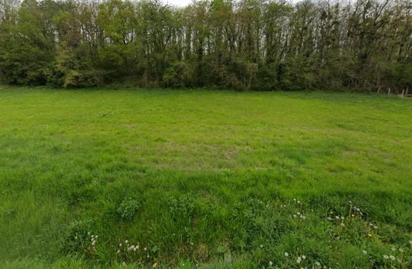 Terrain à vendre |  Saint-Aignan |  7165 m²