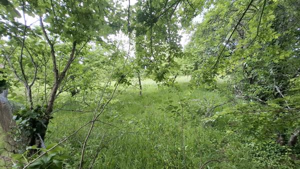 Terrain à vendre à Aixe-sur-Vienne (87700) - Haute-Vienne