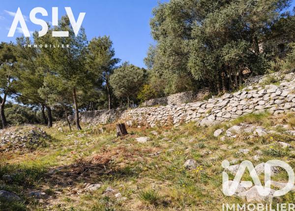 Terrain à vendre 2 015 m² Ollioules