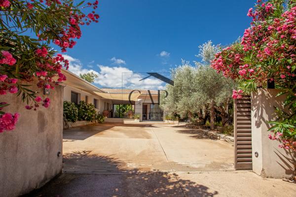 Magnifique T3, vaste terrain arboré à Venzolasca