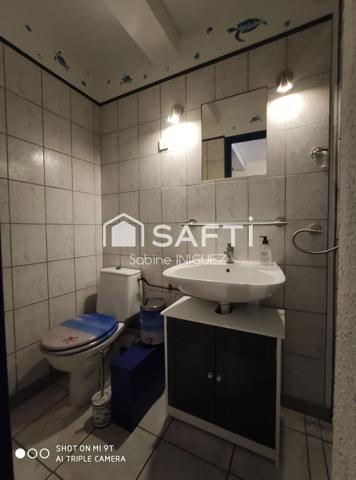 ENSEMBLE IMMOBILIER MAISON + APPARTEMENTS + TERRAIN