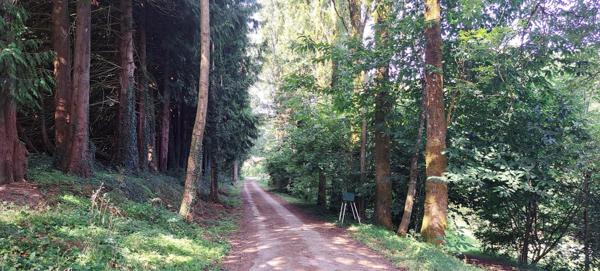 FERMETTE DE 130M² AVEC 4 CHAMBRES SUR UN MAGNIFIQUE TERRAIN DE 15000M²