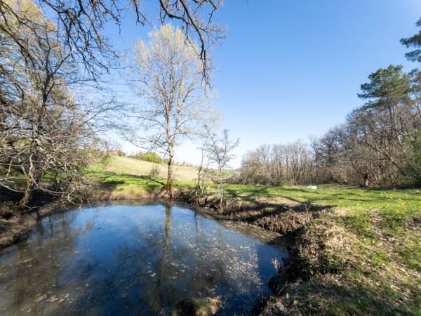 Maison à vendre à Bertric-Burée (24320) - Dordogne
