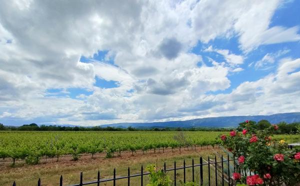 Cabrières-d'Avignon (84220) Ravissante propriété dans un cadre splendide