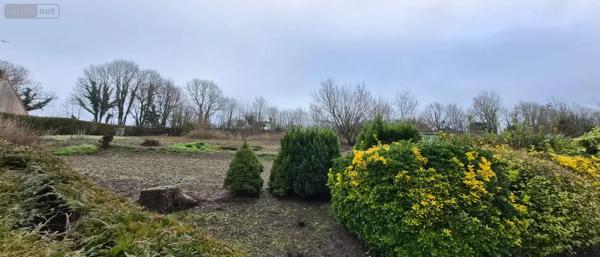 Achat - Maison | Fermette Frencq 62630 4 pièces 73 m 2 3446 m 2