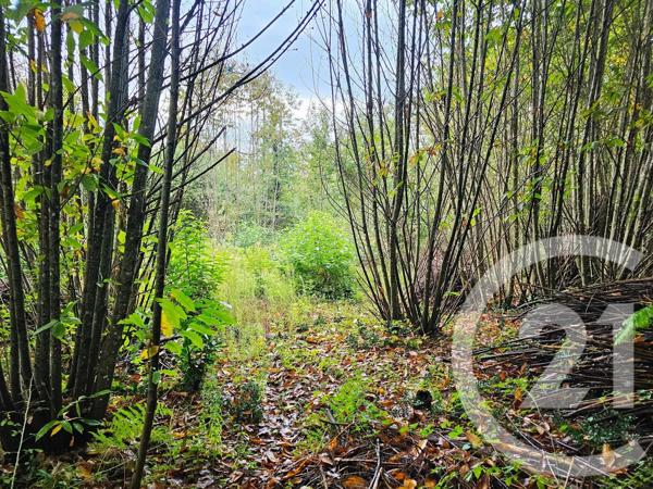 Terrain à vendre  3844 m 2   LE VIGAN EN QUERCY  - 46