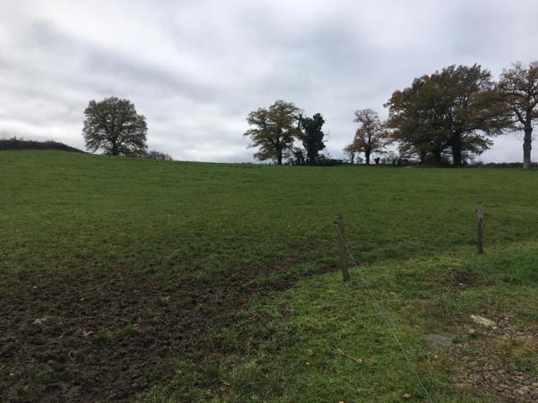 Ronnet (03420) GRANGE (400 M2) SUR 8700 M2 DE TERRAIN