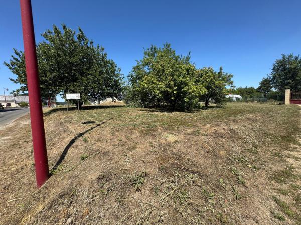 Un terrain constructible sur la commune de Mansigné