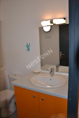 Beau studio moderne et meublé  en plein centre ville d'Yssingeaux