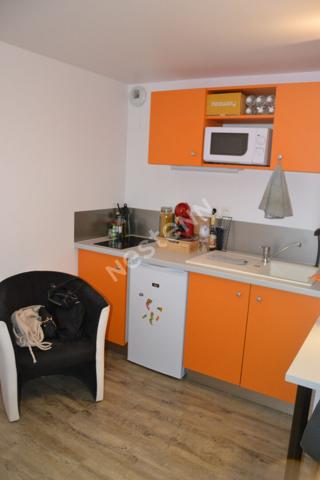 Beau studio moderne et meublé  en plein centre ville d'Yssingeaux