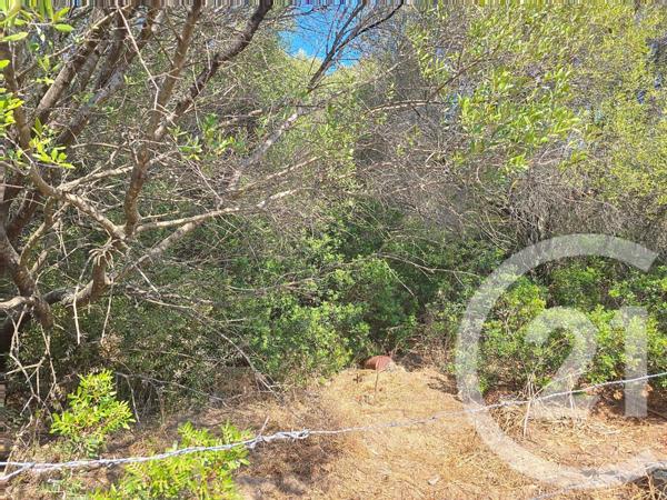 Terrain à vendre  12372 m2 COTI CHIAVARI - 201