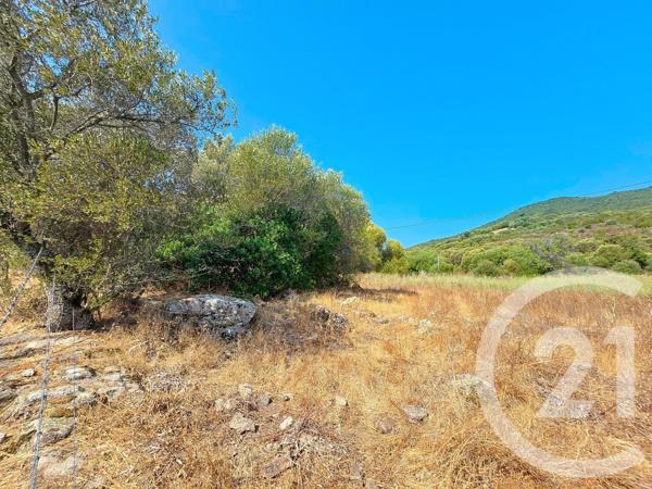 Terrain à vendre  12372 m2 COTI CHIAVARI - 201