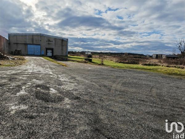 Murs commerciaux  à vendre 8 000 m² Tricot