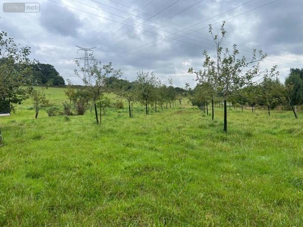 Maison à vendre à Saint-Donan dans les Côtes-d'Armor (22800), ref : 22064-1301