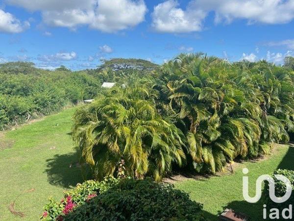 Appartement à vendre 2 pièces 53 m² Saint-François