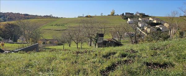 Terrain à vendre |  Montastruc-la-Conseillère |  817 m²