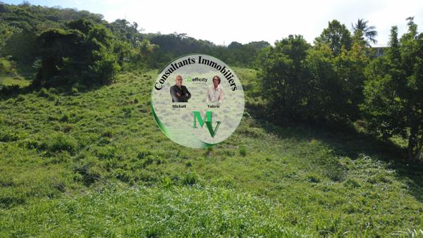 Terrain - 1241 m² Exclusivité efficity