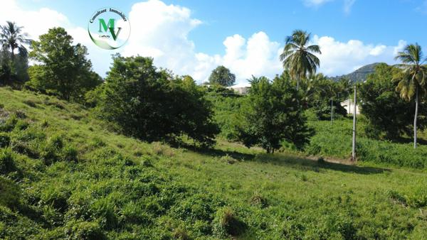 Terrain - 1241 m² Exclusivité efficity