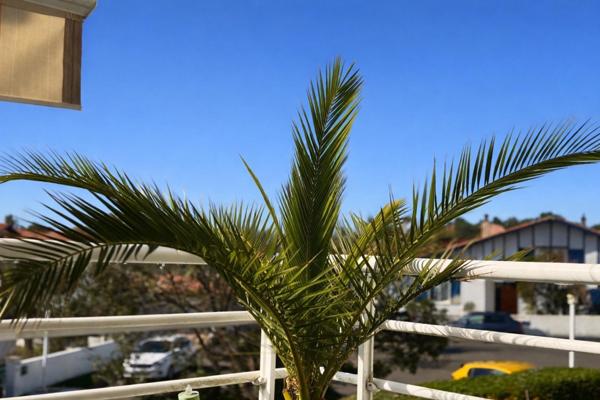 BIDART - LIMITROPHE BIARRITZ - T3 AVEC GRANDE TERRASSE SUD FACE AUX MONTAGNES