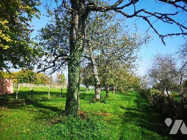 Brauvilliers, maison de village F4 de plain-pied