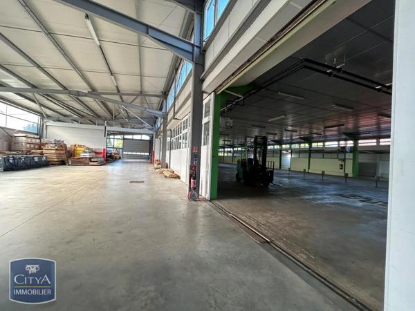 Local professionnel à louer 400m²