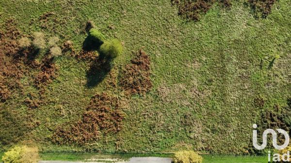 Terrain à vendre 53 098 m² Saint-Seurin-sur-l'Isle