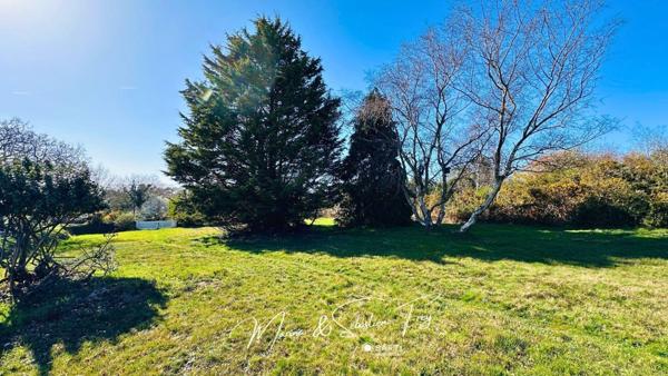 Grand Terrain Constructible dans un Cadre Naturel et Préservé