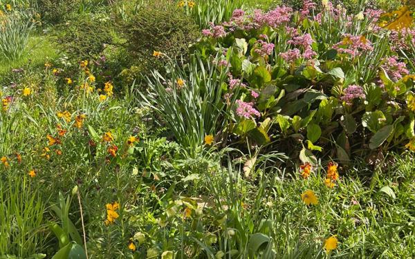 Maison à vendre    5 pièces • 100 m2 Chennevières-sur-Marne