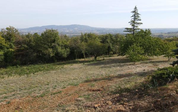 Vente Terrain Libre constructeur - Très belle vue Marcy   