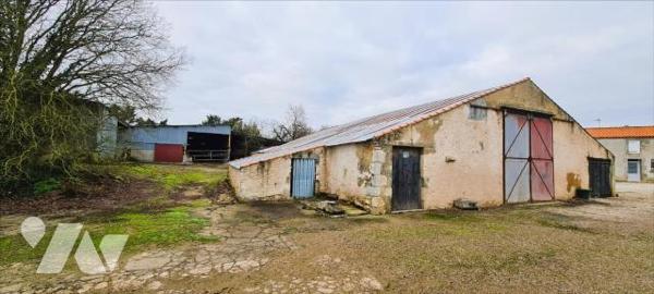 Maison + 5 hangars + 1 grange + 2 terrains à bâtir + dépendances