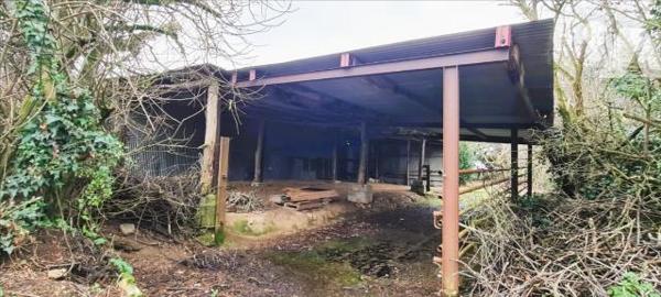 Maison + 5 hangars + 1 grange + 2 terrains à bâtir + dépendances