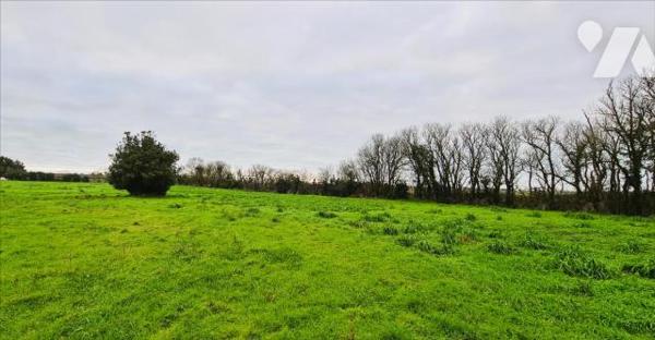 Maison + 5 hangars + 1 grange + 2 terrains à bâtir + dépendances