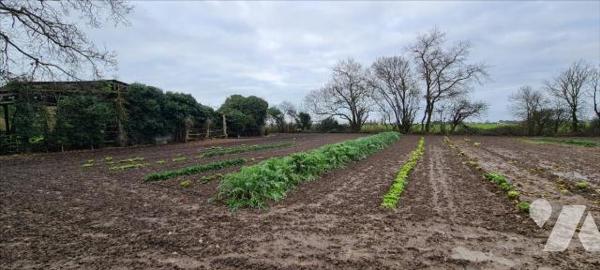 Maison + 5 hangars + 1 grange + 2 terrains à bâtir + dépendances