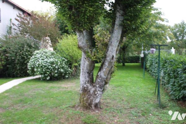 FORS, GRAND PAVILLON EN BON ETAT DE TYPE F6 AVEC GARAGE, JARDIN ET PISCINE .