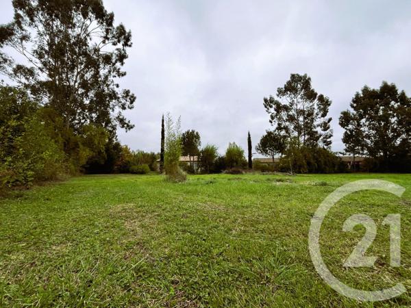 Terrain à vendre  1004 m2 ST SULPICE LA POINTE - 81