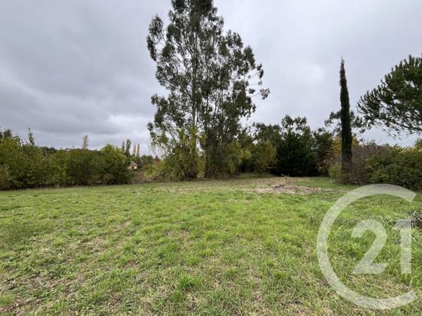 Terrain à vendre  1004 m2 ST SULPICE LA POINTE - 81