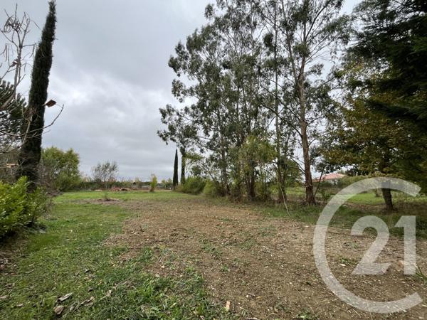 Terrain à vendre  1004 m2 ST SULPICE LA POINTE - 81