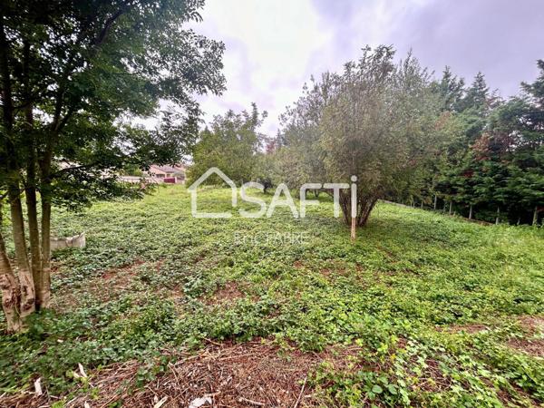 Terrain 1000m2 Constructible