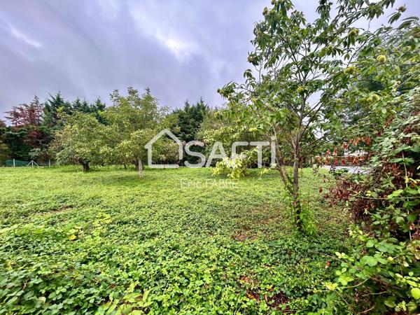 Terrain 1000m2 Constructible