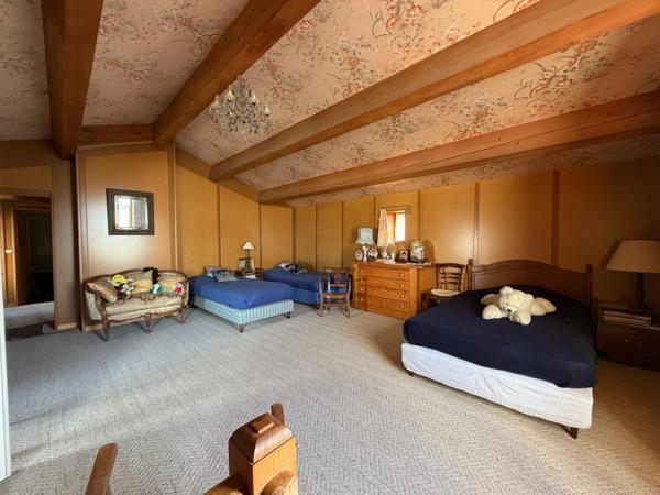 SAINT MICHEL EN L'HERM (85580) 10 MIN DES PLAGES PROPRIETE D'EXCEPTION AVEC 4 GITES, PISCINE ET ANNEXES