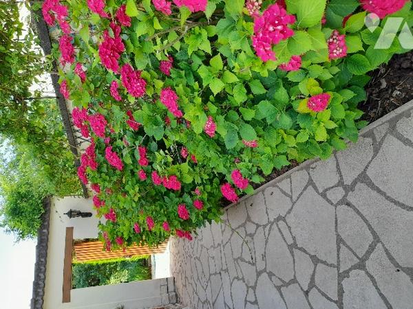 Maison individuelle de 83 m² -2 chambres–1 salle d’eau–Jardin–Sous-sol total, garage-Parcelle 443m²