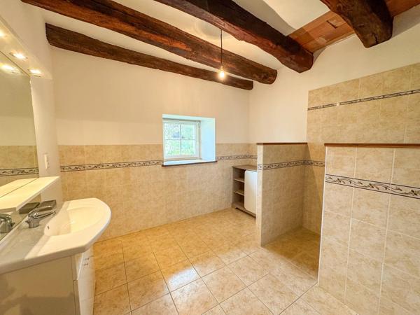 Vente Propriété 5 pièces 248 m2 à Villegusien-le-Lac