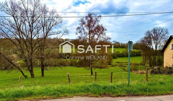 Beau terrain à bâtir  avec façade de 24 m - Plus de 14 ares constructibles. Arrière donnant sur la forêt