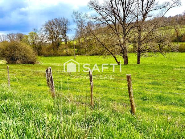 Beau terrain à bâtir  avec façade de 24 m - Plus de 14 ares constructibles. Arrière donnant sur la forêt