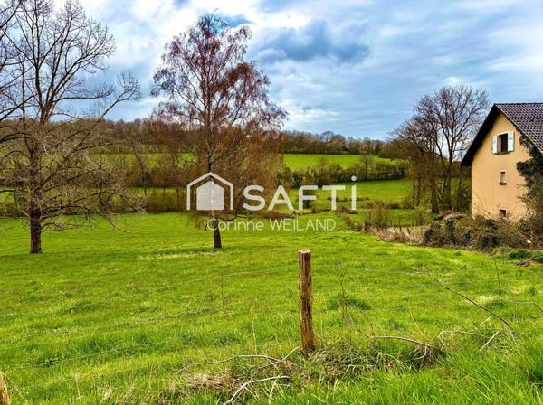 Beau terrain à bâtir  avec façade de 24 m - Plus de 14 ares constructibles. Arrière donnant sur la forêt
