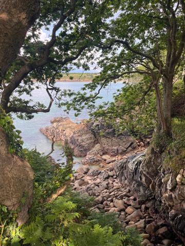 Vente Château Douarnenez 15 Pièces 600 m²